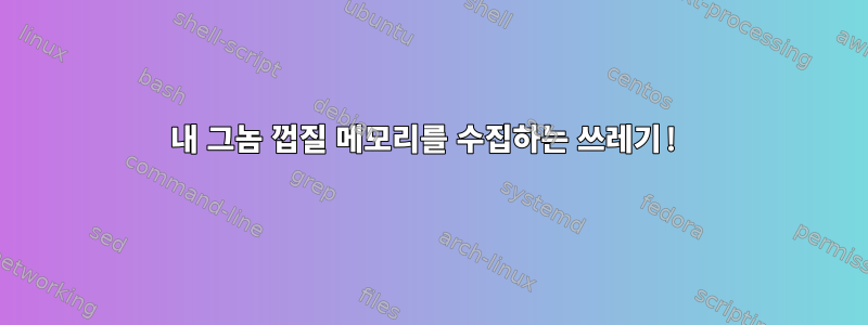 내 그놈 껍질 메모리를 수집하는 쓰레기!