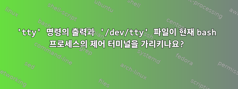 'tty' 명령의 출력과 '/dev/tty' 파일이 현재 bash 프로세스의 제어 터미널을 가리키나요?