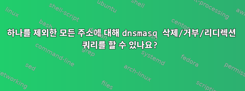 하나를 제외한 모든 주소에 대해 dnsmasq 삭제/거부/리디렉션 쿼리를 할 수 있나요?