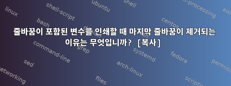 줄바꿈이 포함된 변수를 인쇄할 때 마지막 줄바꿈이 제거되는 이유는 무엇입니까? [복사]