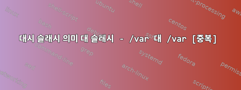 대시 슬래시 의미 대 슬래시 - /var 대 /var [중복]