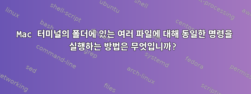 Mac 터미널의 폴더에 있는 여러 파일에 대해 동일한 명령을 실행하는 방법은 무엇입니까?