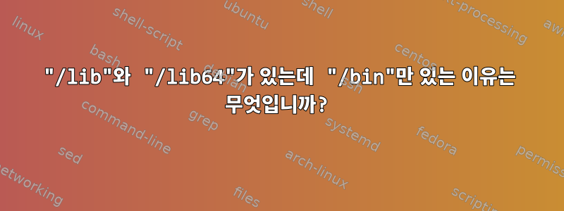 "/lib"와 "/lib64"가 있는데 "/bin"만 있는 이유는 무엇입니까?