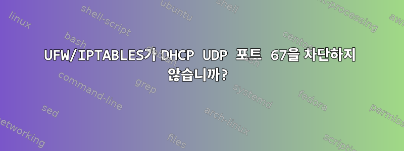 UFW/IPTABLES가 DHCP UDP 포트 67을 차단하지 않습니까?