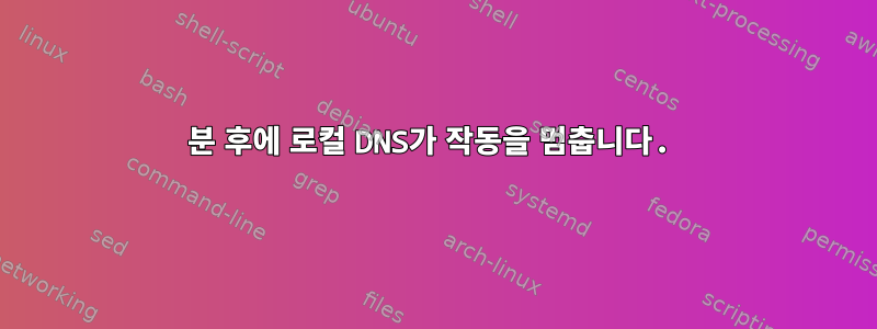 5분 후에 로컬 DNS가 작동을 멈춥니다.