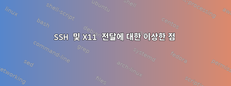 SSH 및 X11 전달에 대한 이상한 점