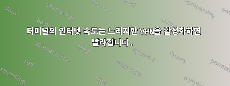 터미널의 인터넷 속도는 느리지만 VPN을 활성화하면 빨라집니다.