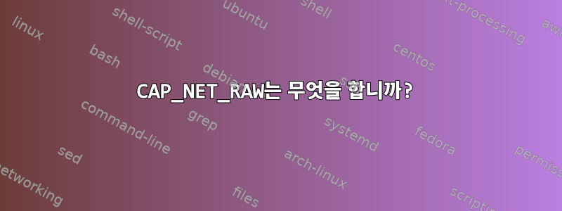 CAP_NET_RAW는 무엇을 합니까?