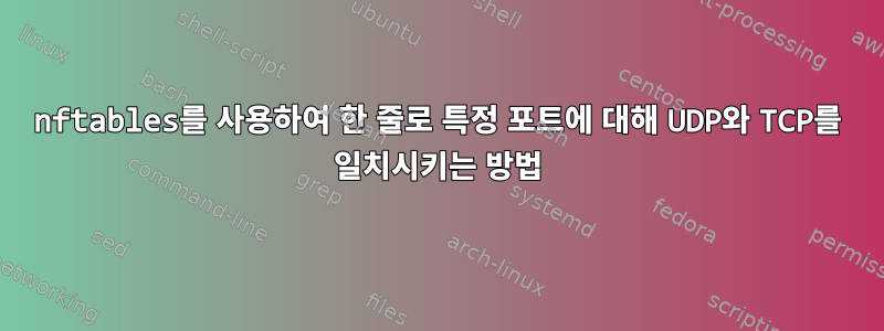 nftables를 사용하여 한 줄로 특정 포트에 대해 UDP와 TCP를 일치시키는 방법