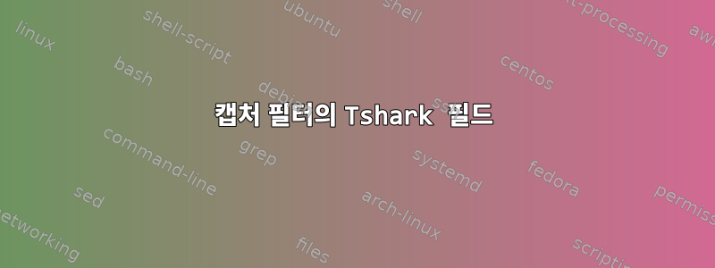 캡처 필터의 Tshark 필드