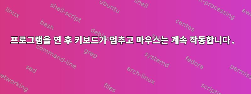 프로그램을 연 후 키보드가 멈추고 마우스는 계속 작동합니다.