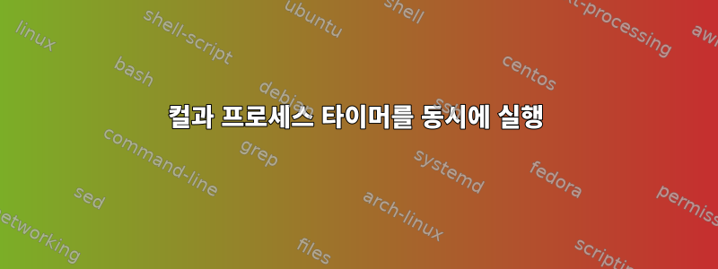 컬과 프로세스 타이머를 동시에 실행