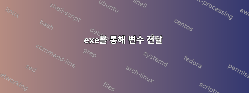 exe를 통해 변수 전달