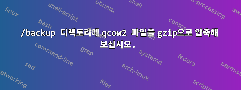 /backup 디렉토리에 qcow2 파일을 gzip으로 압축해 보십시오.