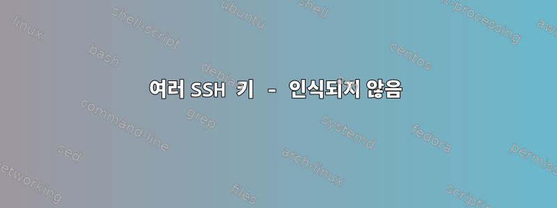 여러 SSH 키 - 인식되지 않음