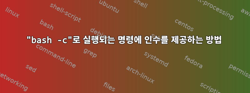 "bash -c"로 실행되는 명령에 인수를 제공하는 방법