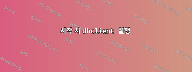 시작 시 dhclient 실행