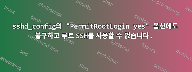 sshd_config의 "PermitRootLogin yes" 옵션에도 불구하고 루트 SSH를 사용할 수 없습니다.