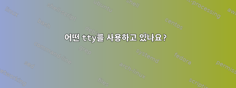 어떤 tty를 사용하고 있나요?