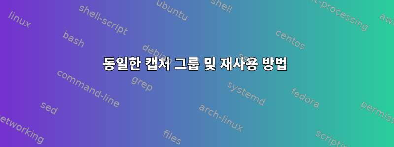 동일한 캡처 그룹 및 재사용 방법