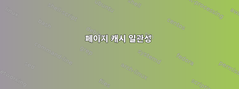 페이지 캐시 일관성