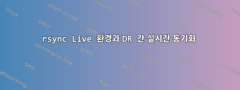 rsync Live 환경과 DR 간 실시간 동기화