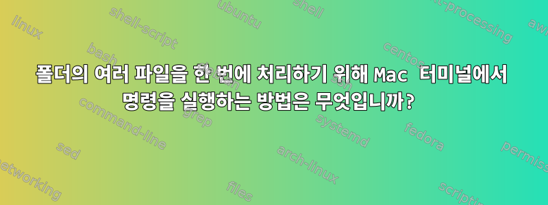 폴더의 여러 파일을 한 번에 처리하기 위해 Mac 터미널에서 명령을 실행하는 방법은 무엇입니까?