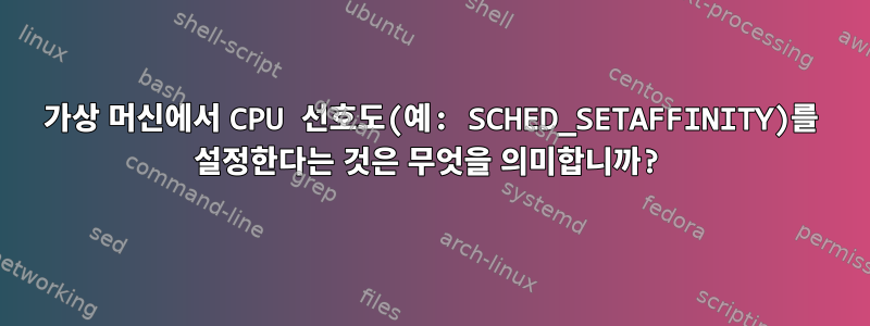 가상 머신에서 CPU 선호도(예: SCHED_SETAFFINITY)를 설정한다는 것은 무엇을 의미합니까?