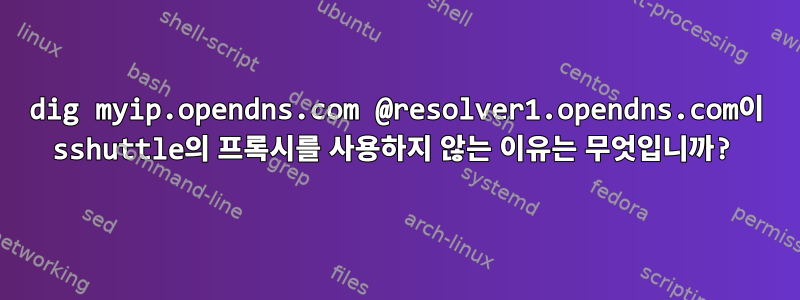 dig myip.opendns.com @resolver1.opendns.com이 sshuttle의 프록시를 사용하지 않는 이유는 무엇입니까?