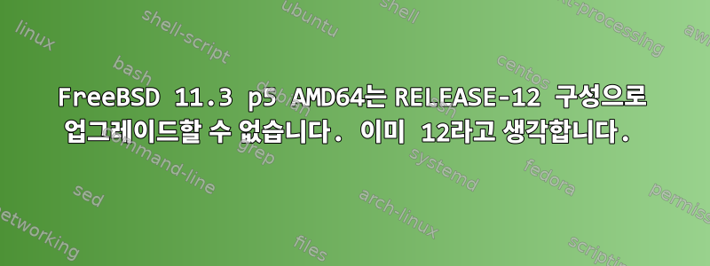 FreeBSD 11.3 p5 AMD64는 RELEASE-12 구성으로 업그레이드할 수 없습니다. 이미 12라고 생각합니다.