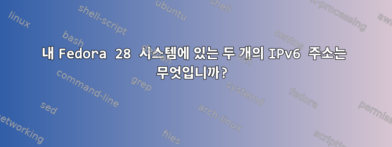 내 Fedora 28 시스템에 있는 두 개의 IPv6 주소는 무엇입니까?