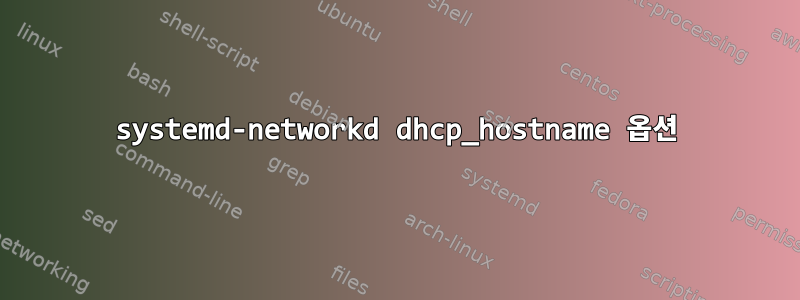 systemd-networkd dhcp_hostname 옵션