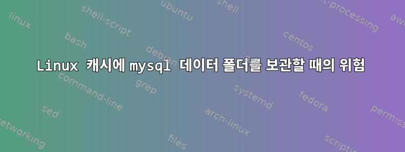 Linux 캐시에 mysql 데이터 폴더를 보관할 때의 위험