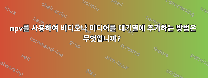 mpv를 사용하여 비디오나 미디어를 대기열에 추가하는 방법은 무엇입니까?