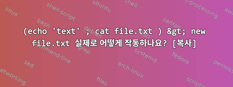 (echo 'text' ; cat file.txt ) &gt; new file.txt 실제로 어떻게 작동하나요? [복사]