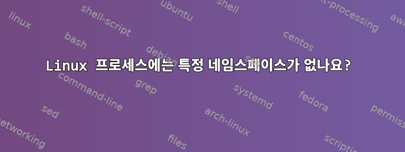 Linux 프로세스에는 특정 네임스페이스가 없나요?