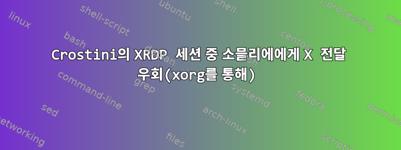 Crostini의 XRDP 세션 중 소믈리에에게 X 전달 우회(xorg를 통해)