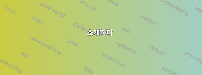 소개하다