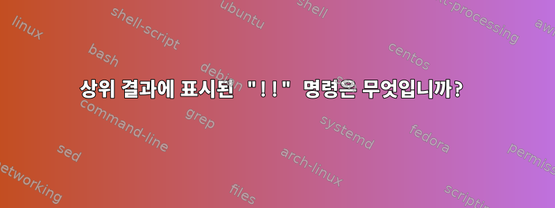 상위 결과에 표시된 "!!" 명령은 무엇입니까?