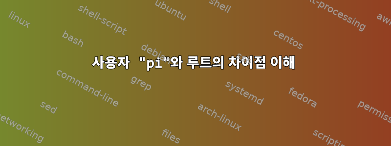 사용자 "pi"와 루트의 차이점 이해