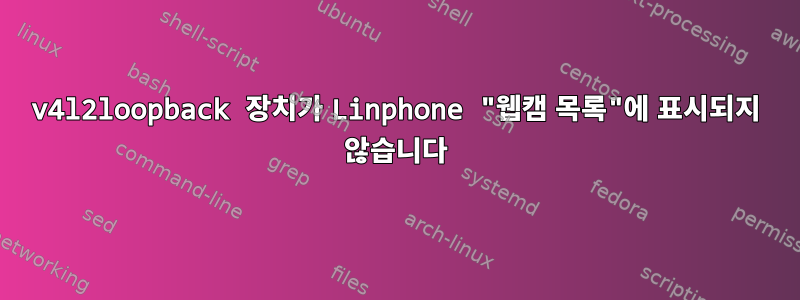 v4l2loopback 장치가 Linphone "웹캠 목록"에 표시되지 않습니다