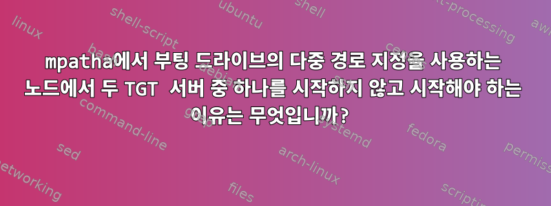 mpatha에서 부팅 드라이브의 다중 경로 지정을 사용하는 노드에서 두 TGT 서버 중 하나를 시작하지 않고 시작해야 하는 이유는 무엇입니까?