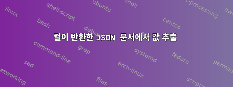 컬이 반환한 JSON 문서에서 값 추출