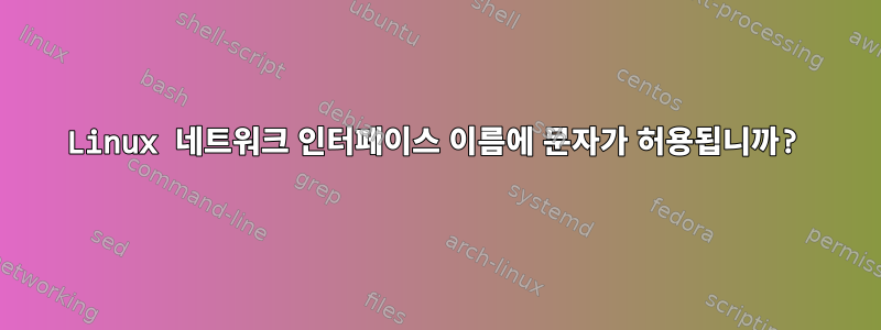 Linux 네트워크 인터페이스 이름에 문자가 허용됩니까?