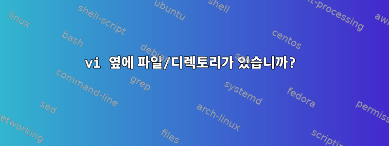 vi 옆에 파일/디렉토리가 있습니까?