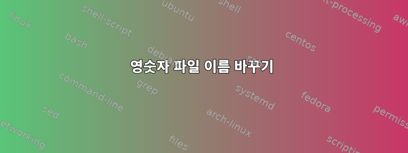 영숫자 파일 이름 바꾸기