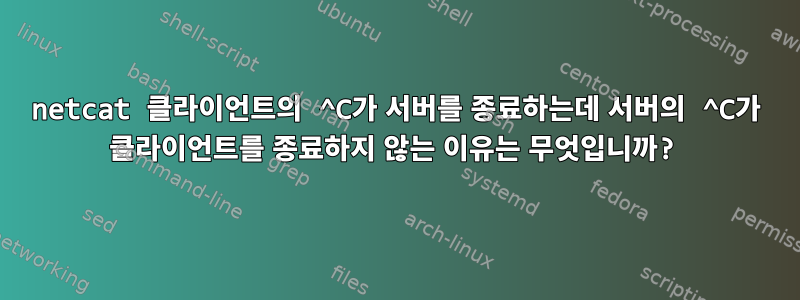 netcat 클라이언트의 ^C가 서버를 종료하는데 서버의 ^C가 클라이언트를 종료하지 않는 이유는 무엇입니까?