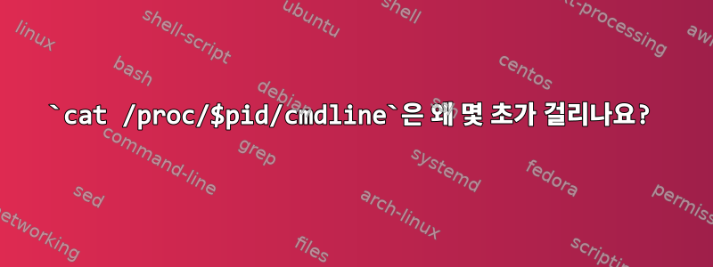 `cat /proc/$pid/cmdline`은 왜 몇 초가 걸리나요?