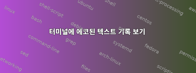 터미널에 에코된 텍스트 기록 보기