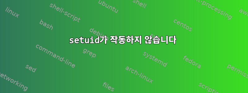 setuid가 작동하지 않습니다